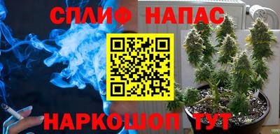 дживик Будённовск