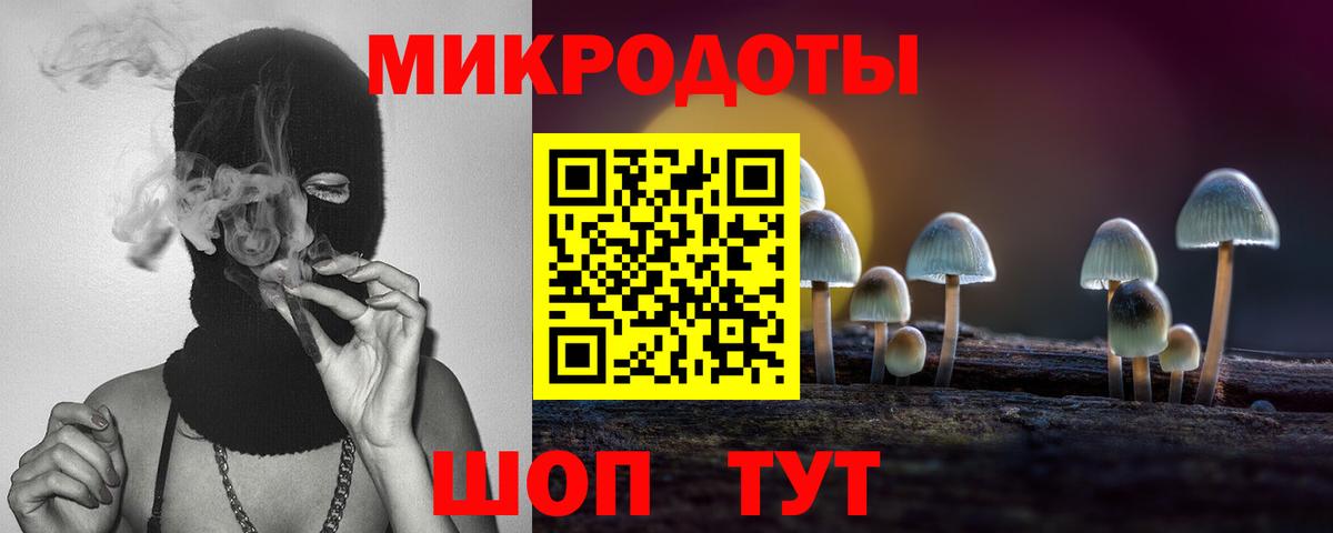 Псилоцибиновые грибы Psilocybe  Вход с VPN  Ступино 